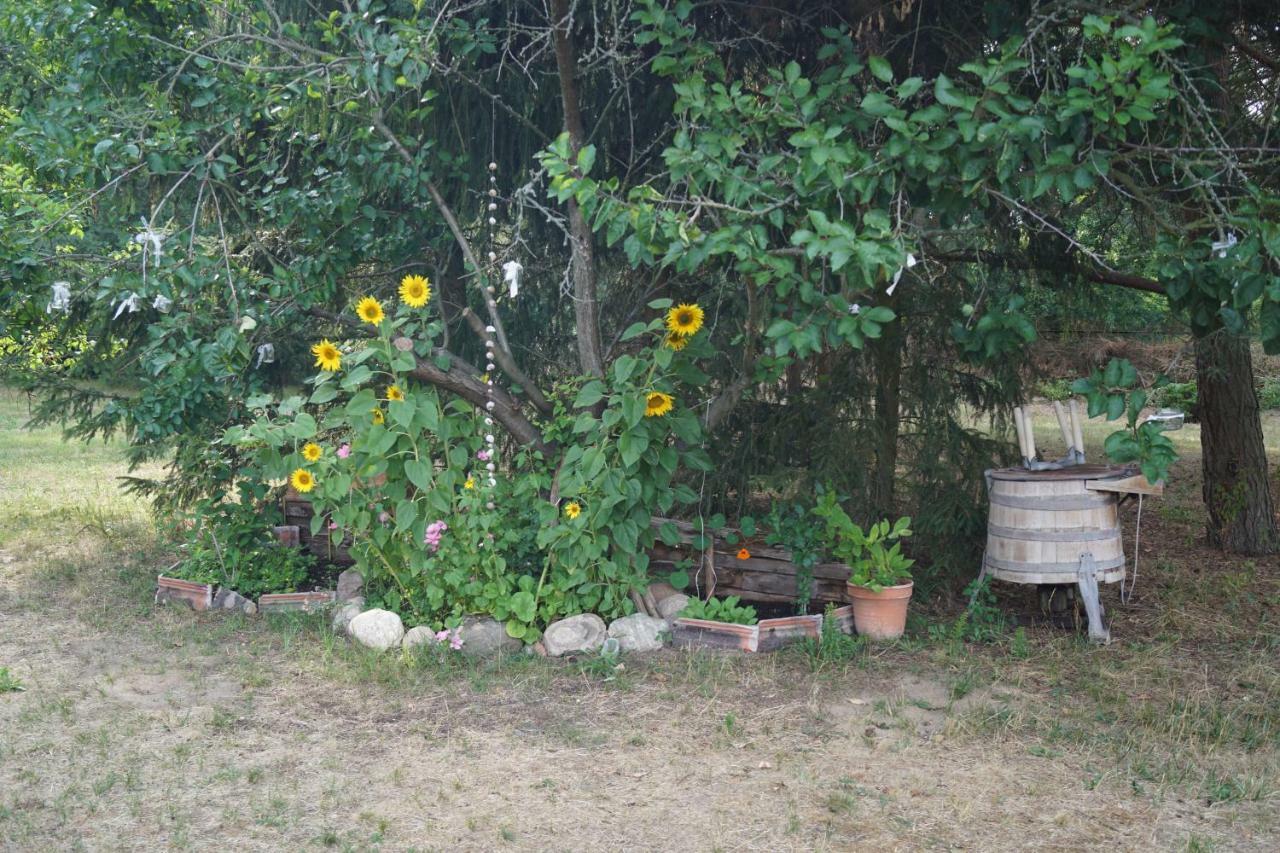 Ferienwohnung Rehagen Sued Am Mellensee Ngoại thất bức ảnh